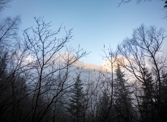 The Valley Val d’Astau, southwest of Bagneres de Luchon in the French Pyrenees. The trail to Lake d'Oô, Haute-Garonne, France. The dominant tree species are deciduous trees (Elm, Ash, Maple).