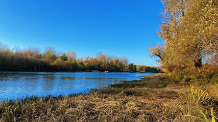 Fototapeta na wymiar Beautiful golden autumn with calm river and pure blue sky