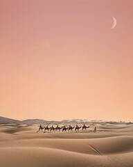 Camel train on desert against sky during sunset © Laura