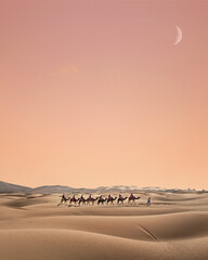 Camel train on desert against sky during sunset