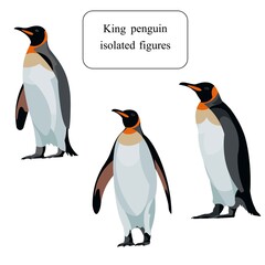 Three figures of standing Antarctic king penguins