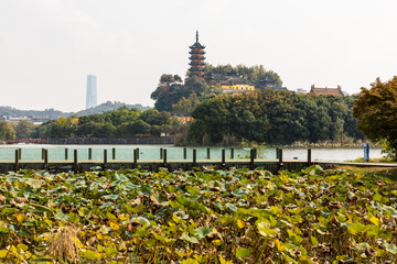 Symbolic Cishou Pagoda & Jinshan Temple by Jinshan Lake in Zhenjiang, Jiangsu, China. Autumn lotus on foreground. Tourist attraction.