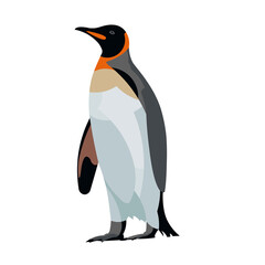 Isolated figure of the standing king penguin