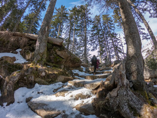 Young woman walks in the Gaube Valley frozen path surrounded by rocky slope, spruce and pine trees, near Cauterets in the Haute-Pyrénées department, France.