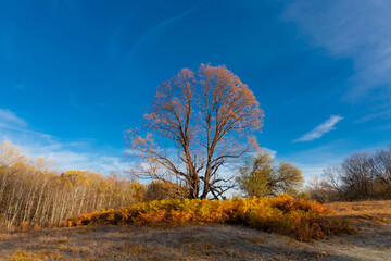 Mountain day autumn, Caucasus