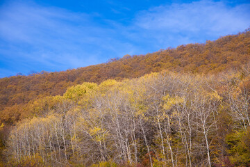 Fototapeta premium Mountain day autumn, Caucasus