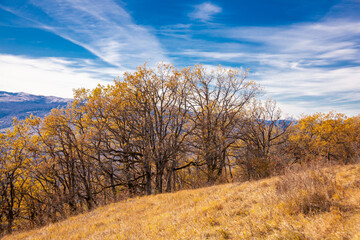 Mountain day autumn, Caucasus
