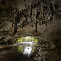 Moria Gate Arch in New Zealand. The ceiling is covered with stalactites and roots. The River cave is spacious and its floor covered in sand accumulated by the Oparara River. Kahurangi National Park.