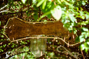 Wooden sign among tropical leaves without inscription. Template for inserting your own text.