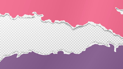 Torn of pink and purple paper are on transparent, squared background for text, advertising or design. Vector illustration