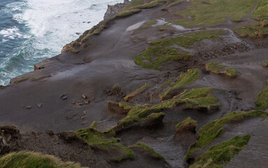Closeup photo of natural landscape in ireland