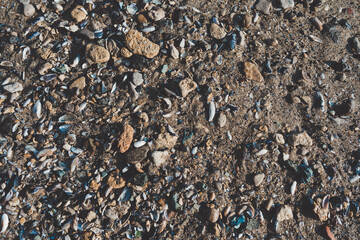 Close up of wet pebbles on the beach
