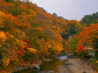 Valley with autumn leaves (Tochigi, Japan)