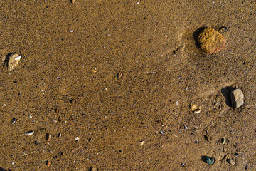 Closeup of wet stones in the sand on the beach