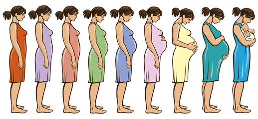 The main stages of pregnancy. Changes in the female body during pregnancy month after month