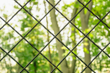 Bokeh, nature background, nature in a cage, cage, metal bars, fence, will, prison, silence,...