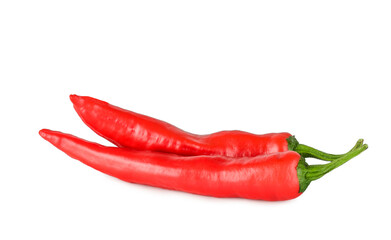 Pepper bitter isolated on white background