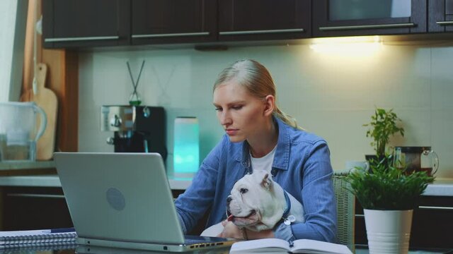 Young woman working on the computer and holding small dog on her hands. Working in the kitchen at home.