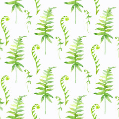 Hand painted watercolor seamless pattern Fern