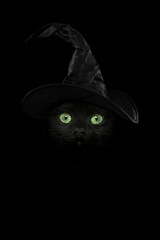 Black cat portrait with bright vibrant green eyes with a witch hat as a concept for halloween or witches