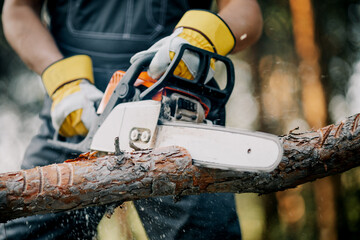 The logger uses a saw. A person using a saw while cutting wood