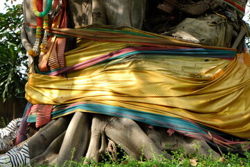 Fototapeta na wymiar The people wrapped colored cloth around the Bodhi tree, which Thai people believe to be a sacred mystery to worship. Can be seen everywhere in Thailand. 