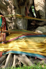 Fototapeta na wymiar The people wrapped colored cloth around the Bodhi tree, which Thai people believe to be a sacred mystery to worship. Can be seen everywhere in Thailand. 