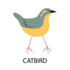 Illustration with catbird - cute cartoon character.