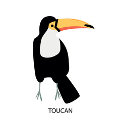 Illustration with toucan - tropic bird. Cartoon character.