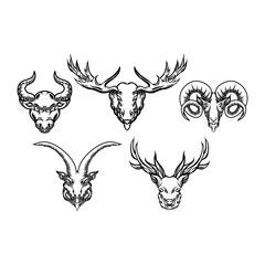 Fototapeta premium animal heads hand drawn set
