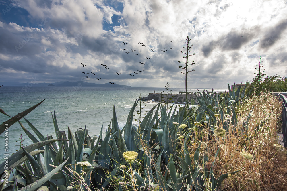 Wall mural piombino e la sua costa