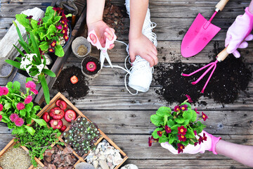 Garden tools, flowers, fertilizers, seeds, garden tools on a wooden background. Spring garden working concept. Copy space. Top view, flat lay.