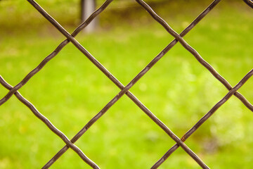 Bokeh, nature background, nature in a cage, cage, metal bars, fence, will, prison, silence,...