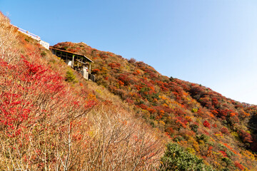 長崎県雲仙市　雲仙仁田峠の紅葉とロープウェイ