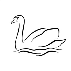 Swan logo art template vector illustration design
