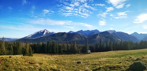 Górska polana  © Sara