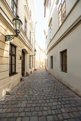 Fototapeta na wymiar Cobbled alleyway of old city; Prague; Czech Republic