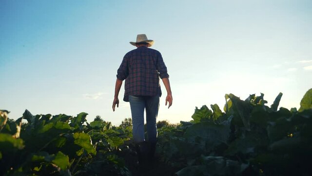 agriculture. man farmer in a rubber boots walks green field grass. farmer worker goes home after harvesting working day agriculture. crop agribusiness subsistence agriculture
