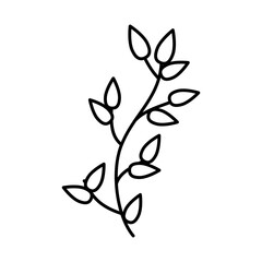 branch leaves icon, line style