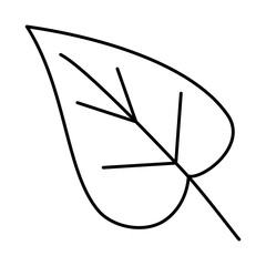 icon of tropical leaf, line style