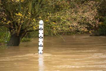River gauge water level indicator in a flooded river at the ford in Much Hadham, Hertfordshire. UK