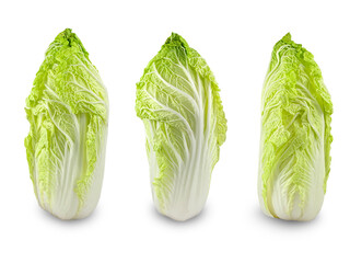 set of freshness Chinese cabbage vegetable on white background with clipping path