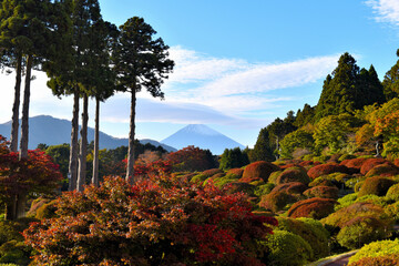 秋の箱根芦ノ湖から望む富士山