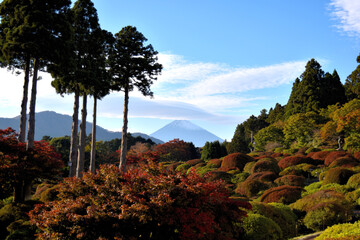 秋の箱根芦ノ湖から望む富士山