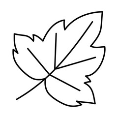 icon of dry leaf, line style