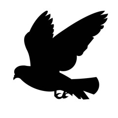 Isolated silhouette of a a flying gray pigeon