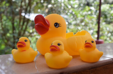 Rubber ducky with her ducklings