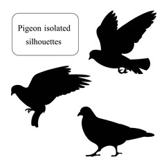 Isolated silhouettes of a a going, flying and fluttering rock pigeon