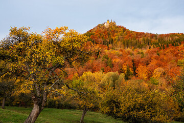 scenic autumn fall color in the Hohenzollern mountains in morning light Hechingen