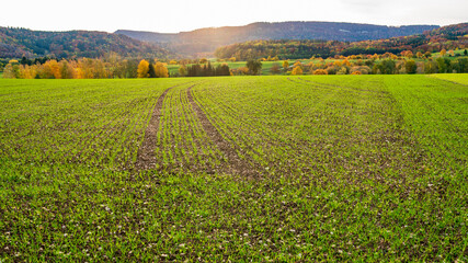 sunrise in autumn mountain with field view